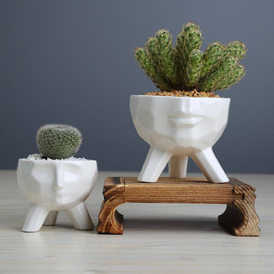 2-Piece White Ceramic Face Succulent Planters