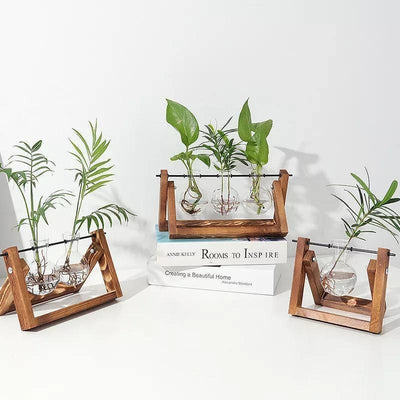 Glass Propagation Vase with A-Frame Wooden Stand