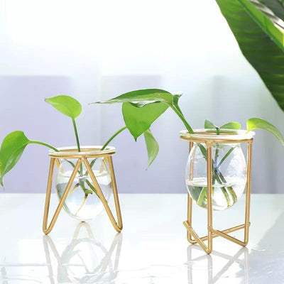 Glass Propagation Vase with Geometric Iron Stand