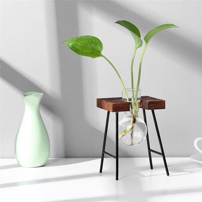 Glass Propagation Vase with Iron and Wood Stand