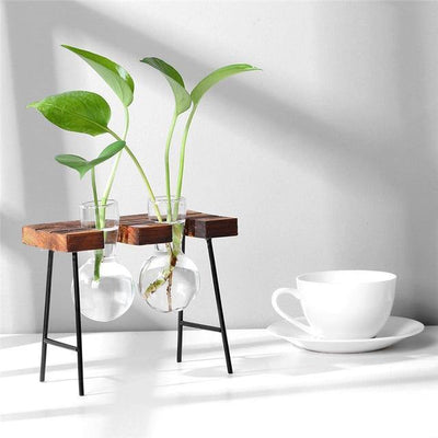 Glass Propagation Vase with Iron and Wood Stand