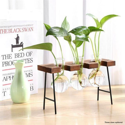 Glass Propagation Vase with Iron and Wood Stand