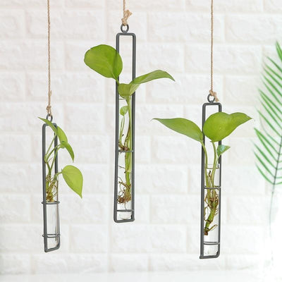 Hanging Iron Propagation Terrarium Vases
